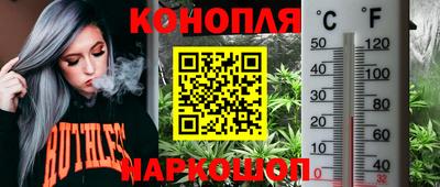 MESCALINE Камышлов