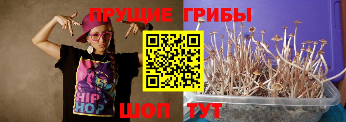 Галлюциногенные грибы ЛСД  Вход с VPN  Псилоцибиновые грибы мухоморы  Кстово 